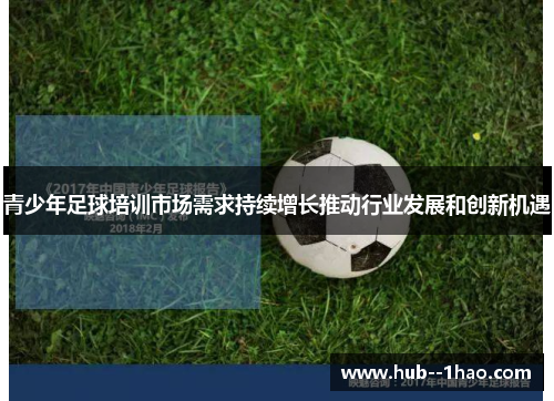 青少年足球培训市场需求持续增长推动行业发展和创新机遇