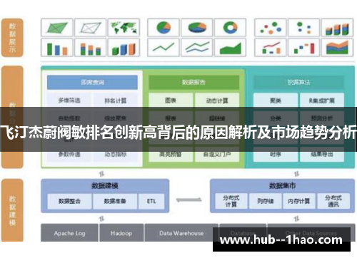 飞汀杰蔚阀敏排名创新高背后的原因解析及市场趋势分析