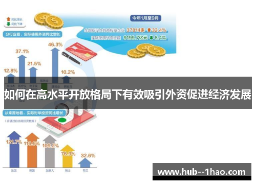 如何在高水平开放格局下有效吸引外资促进经济发展