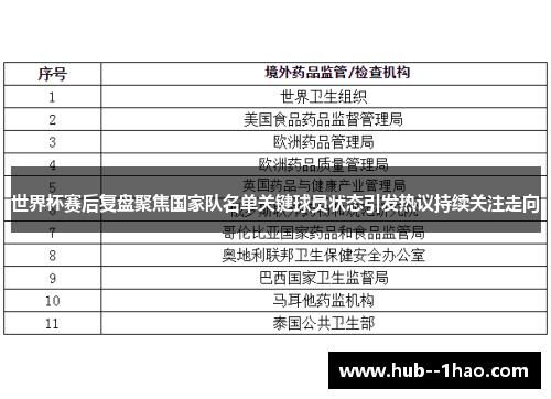 世界杯赛后复盘聚焦国家队名单关键球员状态引发热议持续关注走向