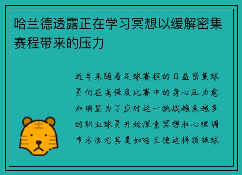 哈兰德透露正在学习冥想以缓解密集赛程带来的压力